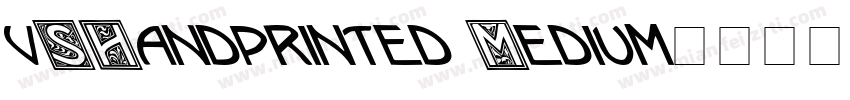 vSHandprinted Medium字体转换